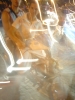italia_campione_del_mondo 020.jpg